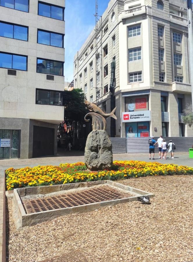 Apartamento En La Mejor Zona De Santa Cruz Daire Dış mekan fotoğraf